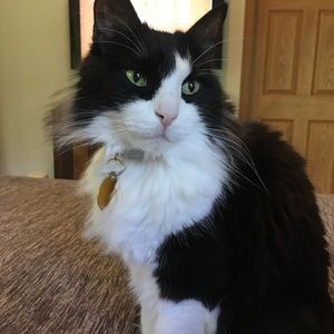 Meet your Posher, Dina